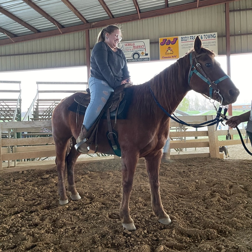 ISO‼️ horse tack